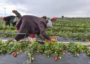 المصدر: الحرة