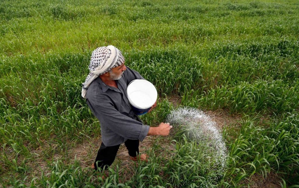 المصدر: روداوو