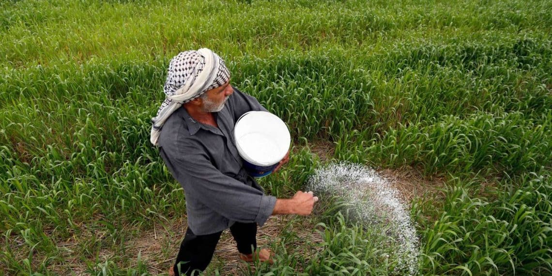 المصدر: روداوو