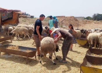 المصدر: Middle East Online‏