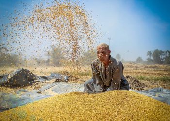 المصدر: الخليج أونلاين