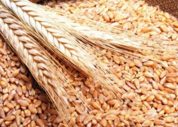 المصدر: موقع الصحفيين التونسيين بصفاقس