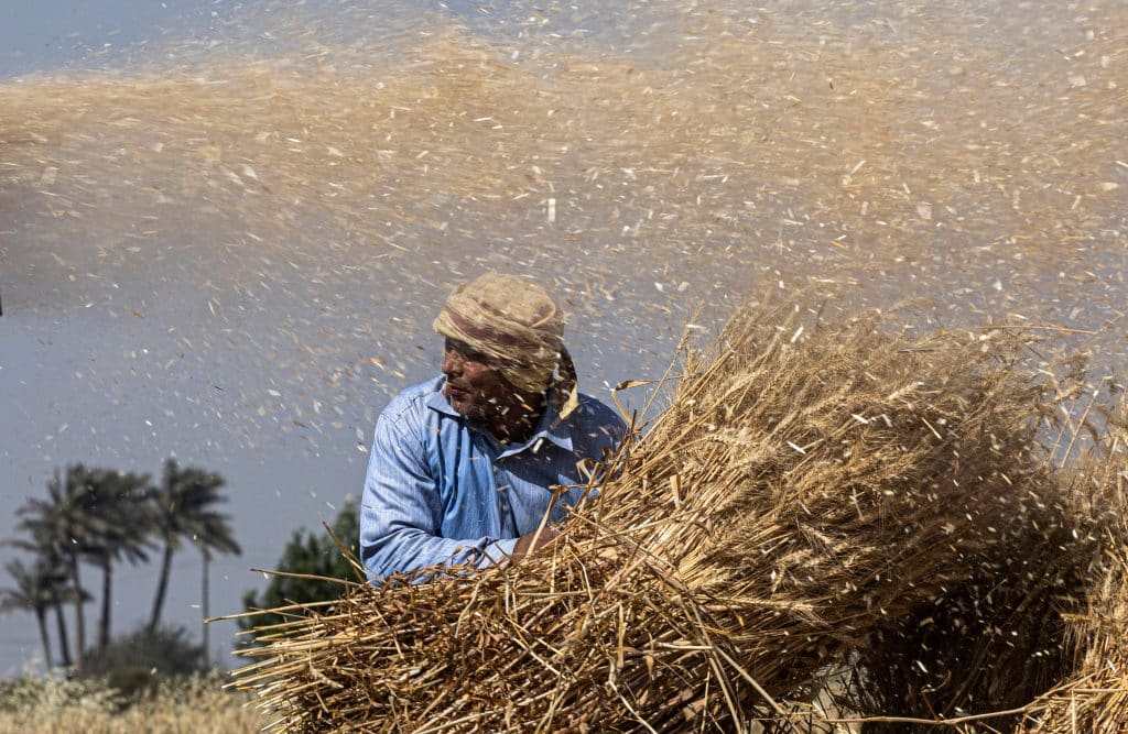 المصدر: AFP via Getty Images‏