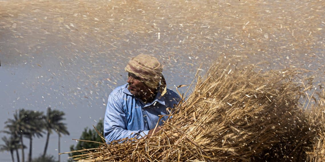 المصدر: AFP via Getty Images