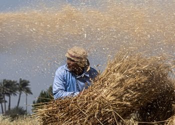 المصدر: AFP via Getty Images‏