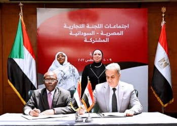 المصدر: جريدة الاستثمار العربى