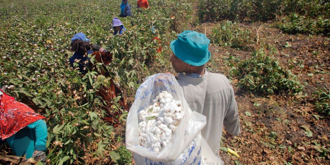 المصدر: العربي الجديد