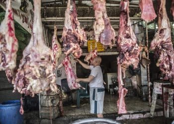 المصدر: اندبندنت عربية