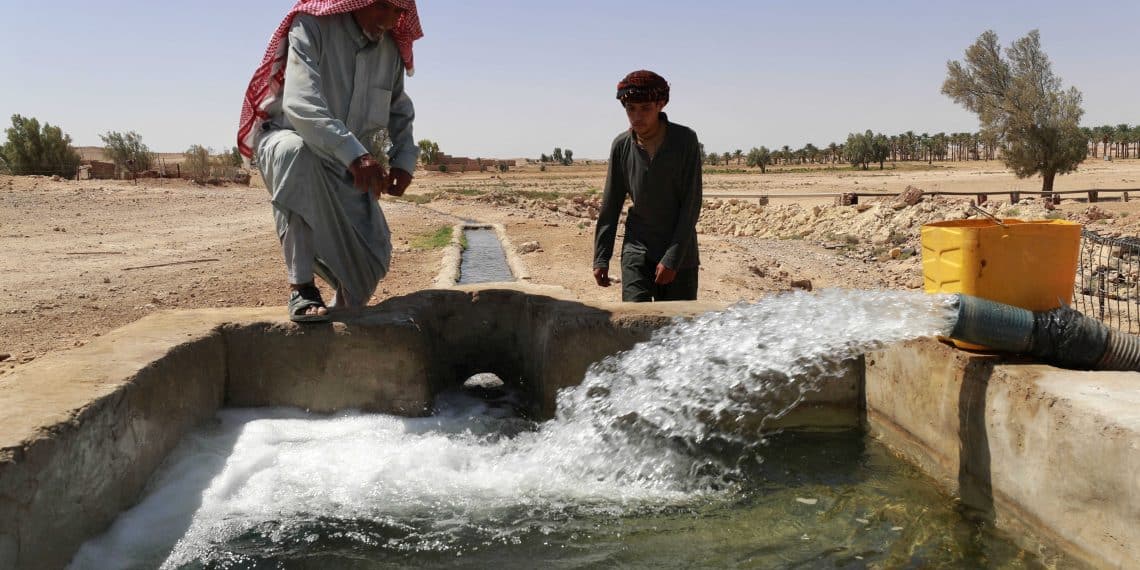 المصدر: الحرة