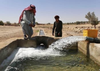 المصدر: الحرة