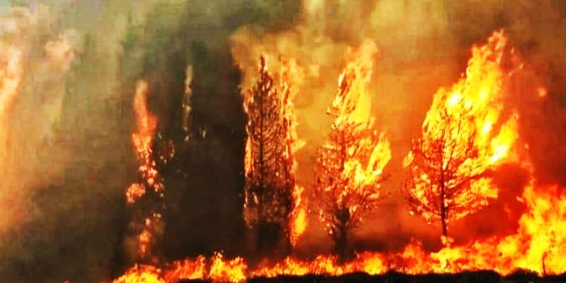 المصدر: البيان