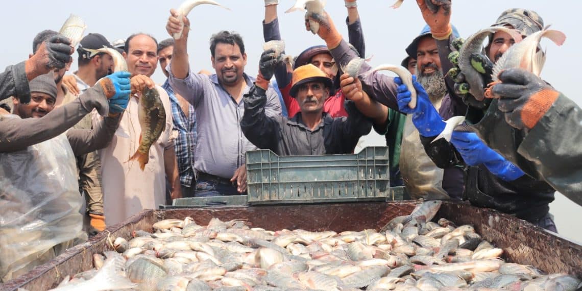 المصدر: الوطن