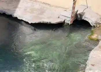 المصدر: الجزيرة نت