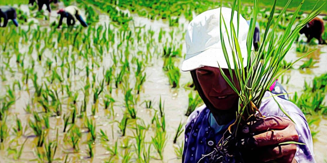 المصدر: بوابة أخبار اليوم