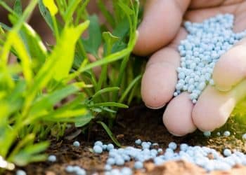 المصدر: RadioMed‏