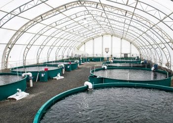 المصدر: اندبندنت عربية