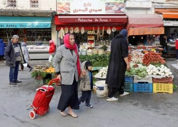 المصدر: الميادين
