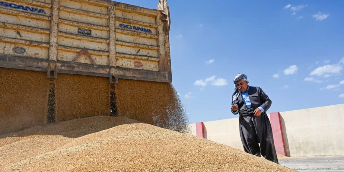 المصدر: رووداو