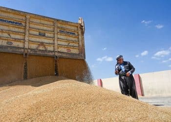 المصدر: رووداو