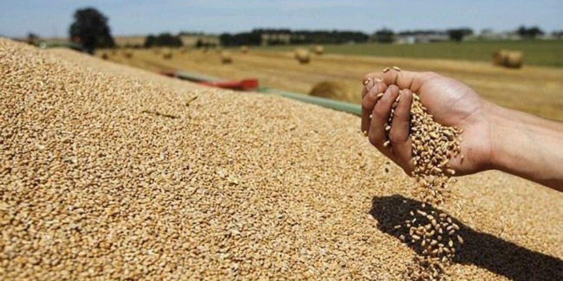 المصدر: النهار العربي