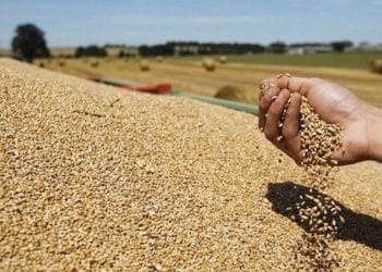 المصدر: النهار العربي