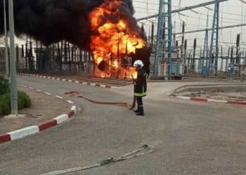 المصدر: أخبار تونس