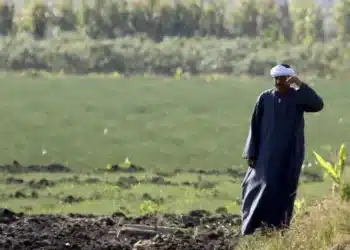 المصدر: الجزيرة نت