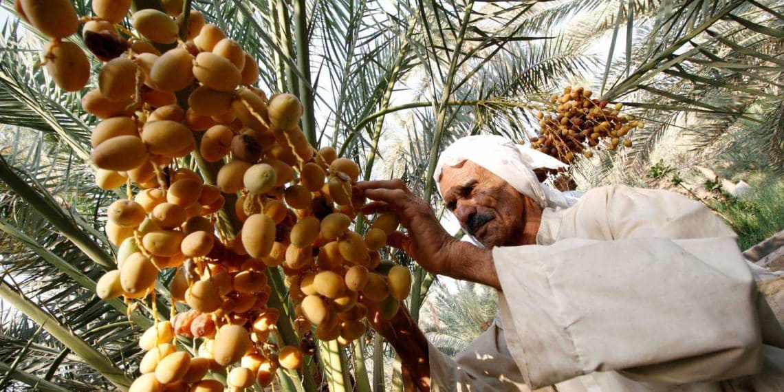 المصدر: صحيفة العرب