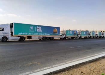 المصدر: روسيا اليوم - RT‏