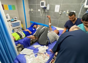 المصدر: الأسبوع