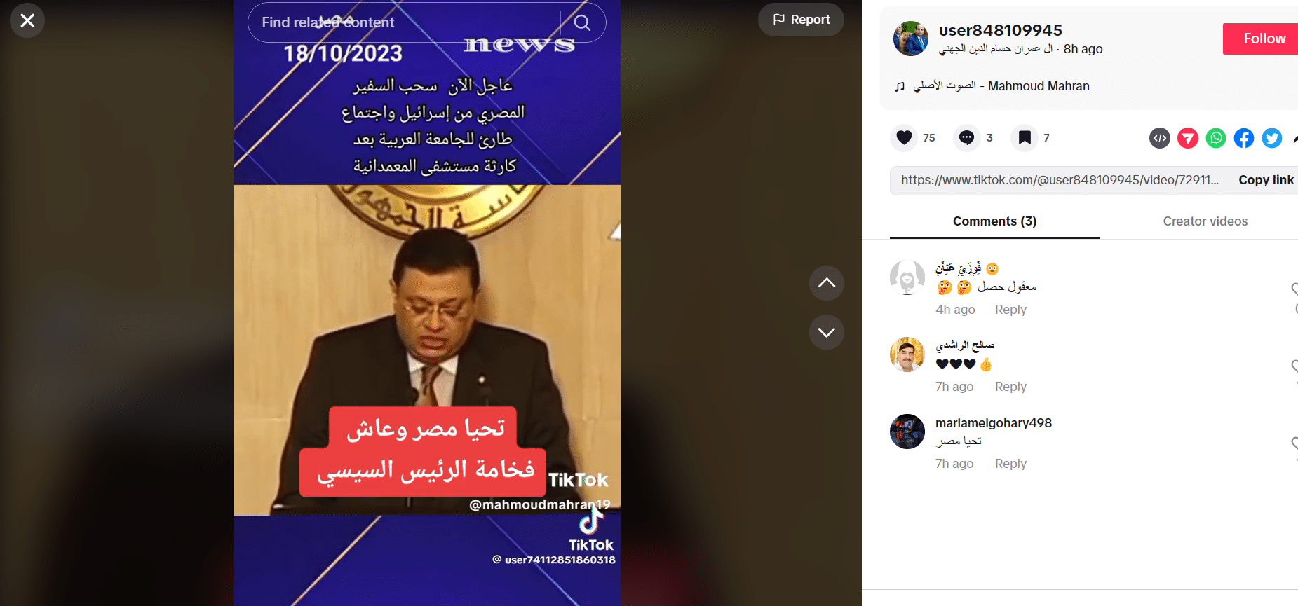 فيديو متداول يزعم سحب السفير المصري من إسرائيل