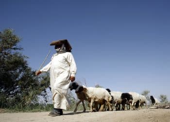 المصدر: AFP/Getty Images