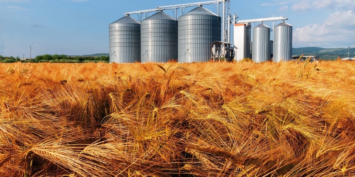 المصدر: Shutterstock