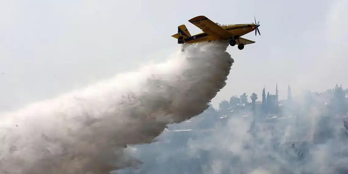 المصدر: AFP/Getty Images‏