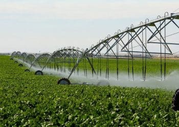 المصدر: خاص عن مصر