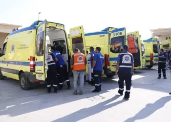 المصدر: العربية