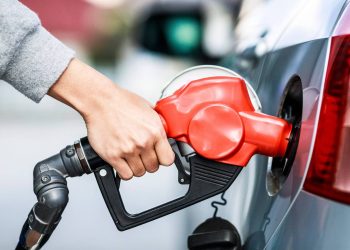 المصدر: Tunisia Direct