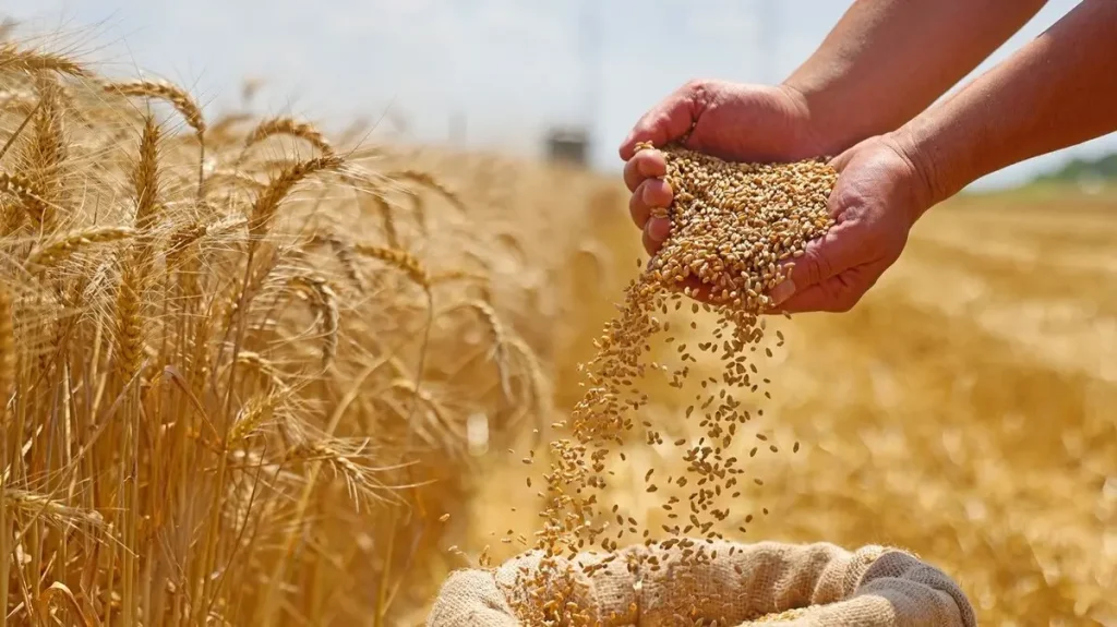 المصدر: Al Arabiya