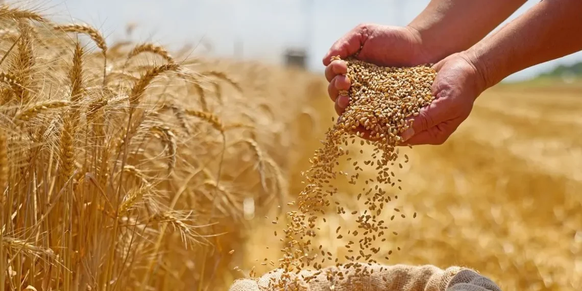 المصدر: Al Arabiya