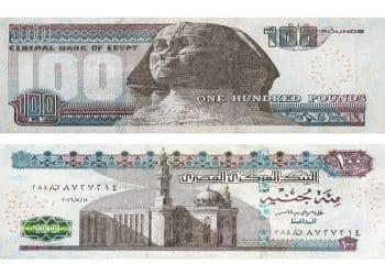 المصدر: RT Arabic