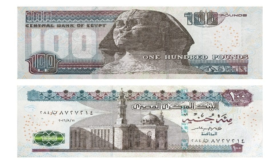 المصدر: RT Arabic