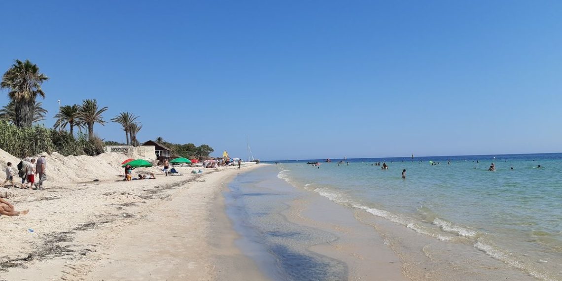 المصدر: Safarway