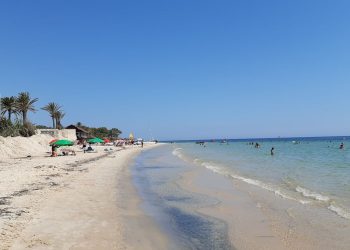 المصدر: Safarway