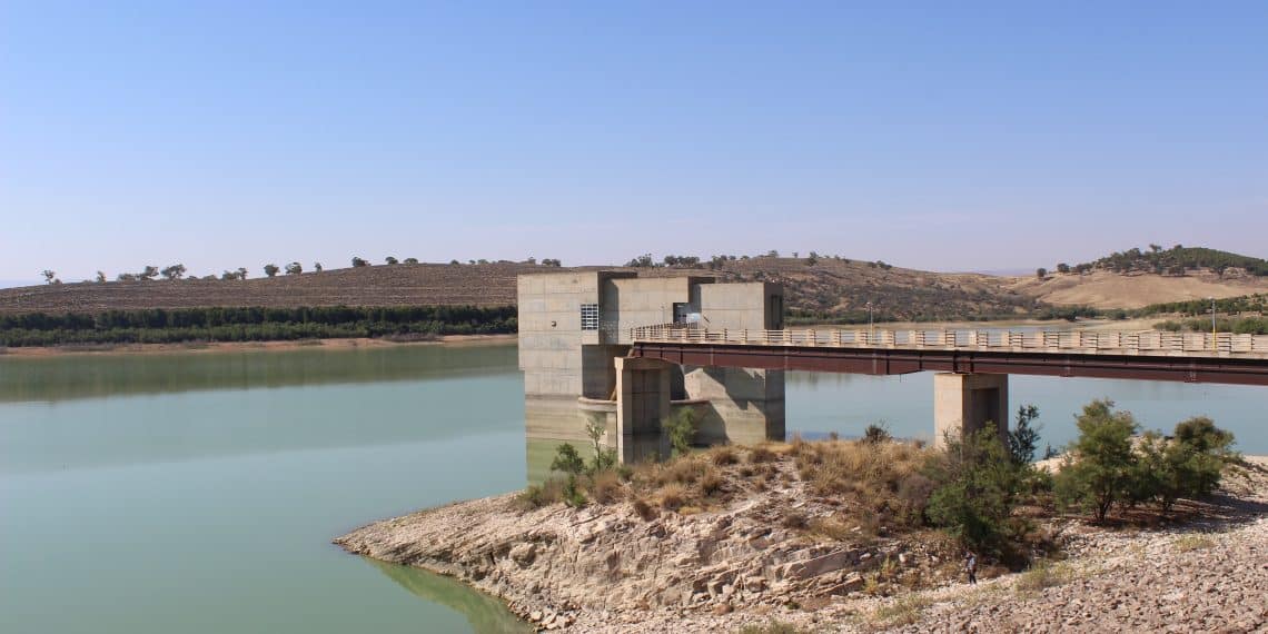 المصدر: Wikimedia Coomons