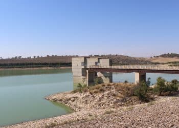 المصدر: Wikimedia Coomons