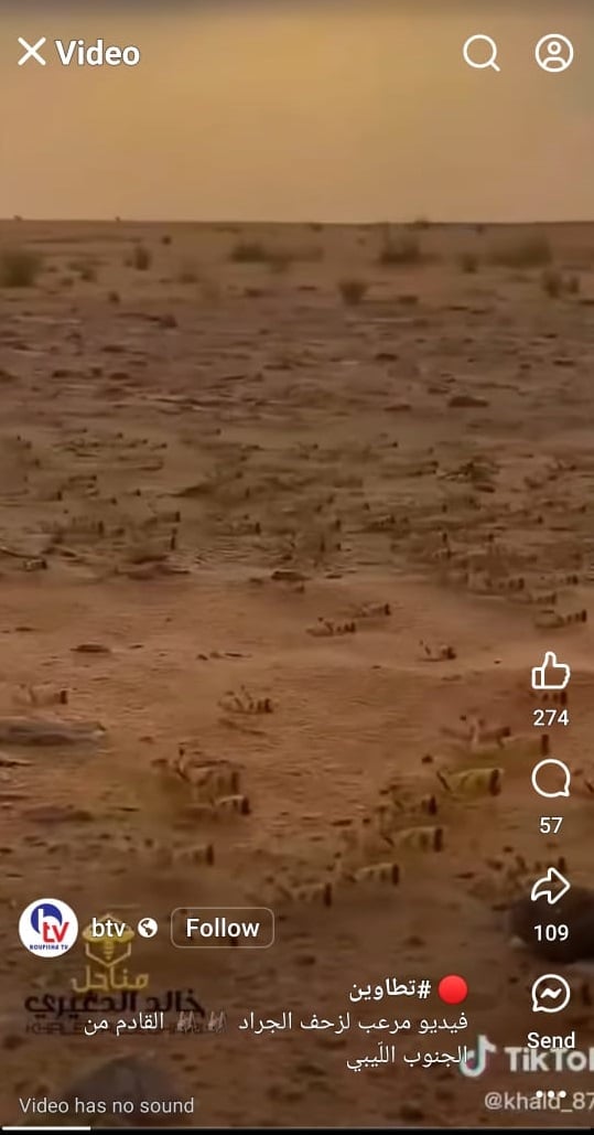 المنشور المتداول لزحف الجراد من ليبيا قادمًا إلى تونس