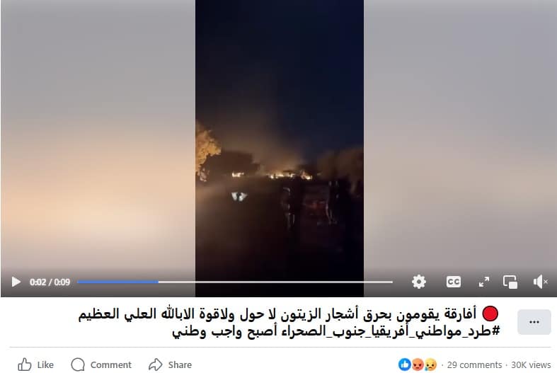 الادعاء بحرق أفارقة أشجار الزيتون
