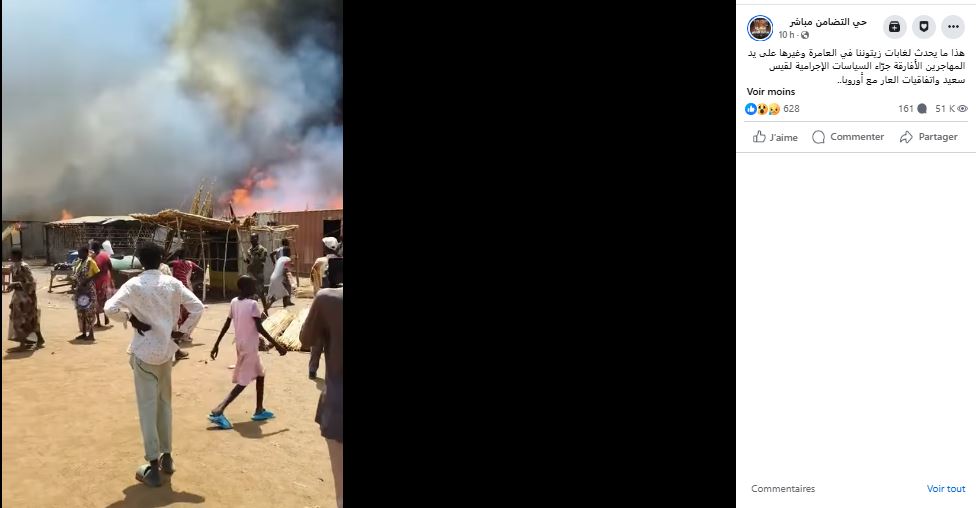 صورة من الفيديو المتداول لحرائق غابات الزيتون في تونس
