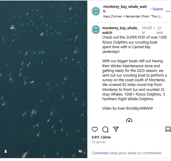 صورة من الفيديو الأصلي