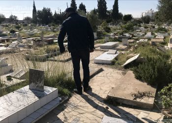 المصدر: العربي الجديد